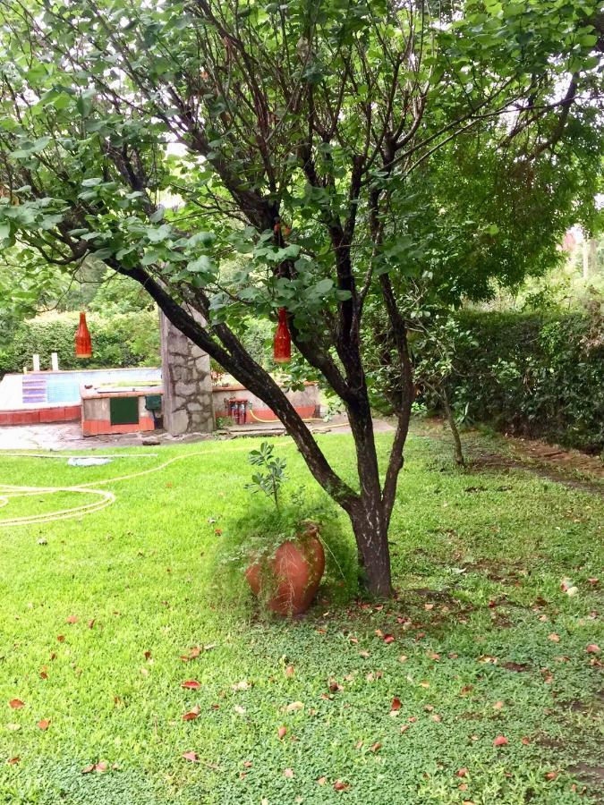 La Union Casa De Huespedes El Trebol De Ezeiza 게스트하우스 외부 사진